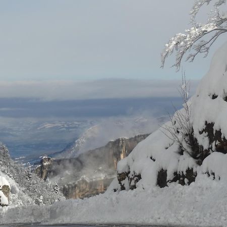 Hotel Du Col De La Machine แซงต์-ฌอง-ออง-รัวยองส์ ภายนอก รูปภาพ