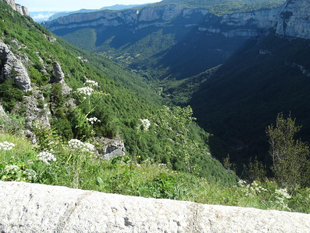 Hotel Du Col De La Machine แซงต์-ฌอง-ออง-รัวยองส์ ภายนอก รูปภาพ