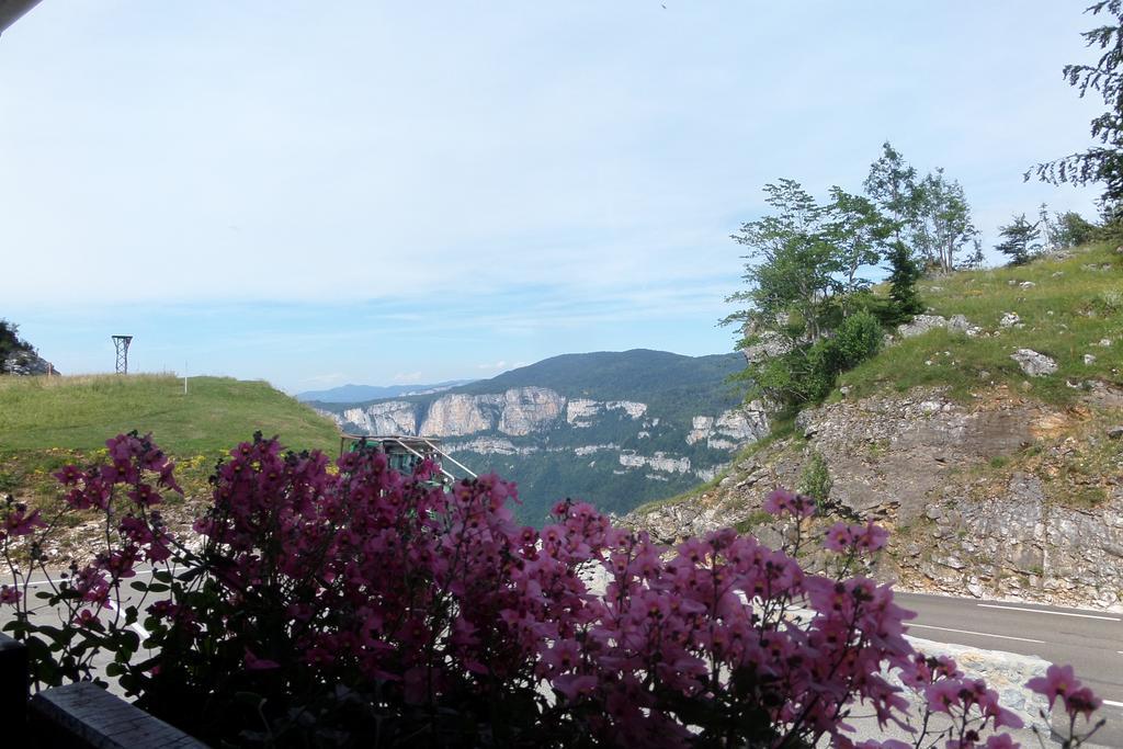 Hotel Du Col De La Machine แซงต์-ฌอง-ออง-รัวยองส์ ห้อง รูปภาพ