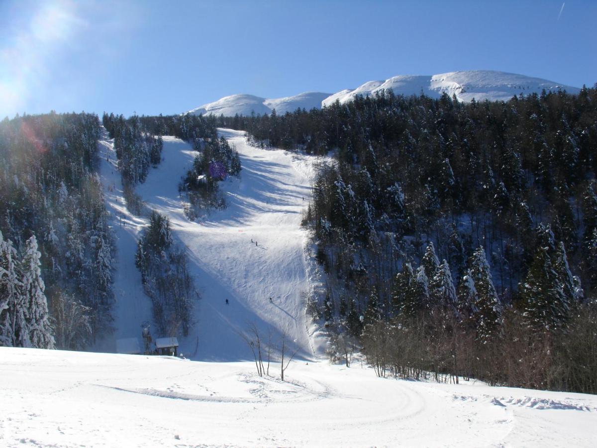 Hotel Du Col De La Machine แซงต์-ฌอง-ออง-รัวยองส์ ภายนอก รูปภาพ